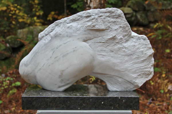 Fantail (Koi)