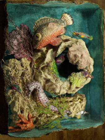 Fish Reef