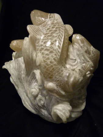 Hoi Polli Koi