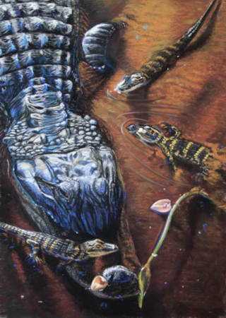 Alligators and Pond Apples