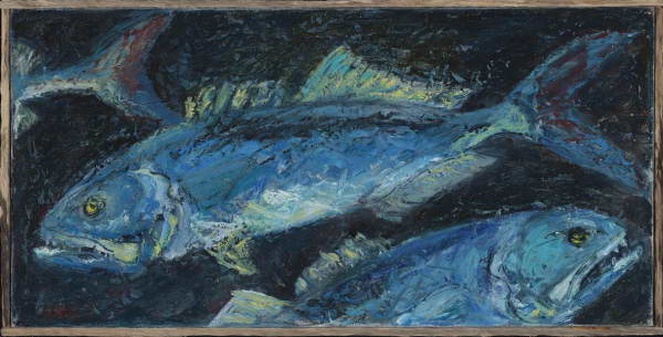 Bluefish