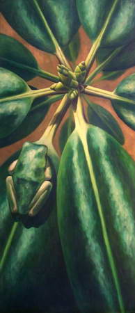 Green Frog #8