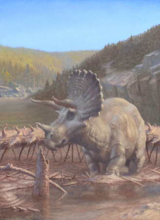 Triceratops