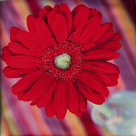 85